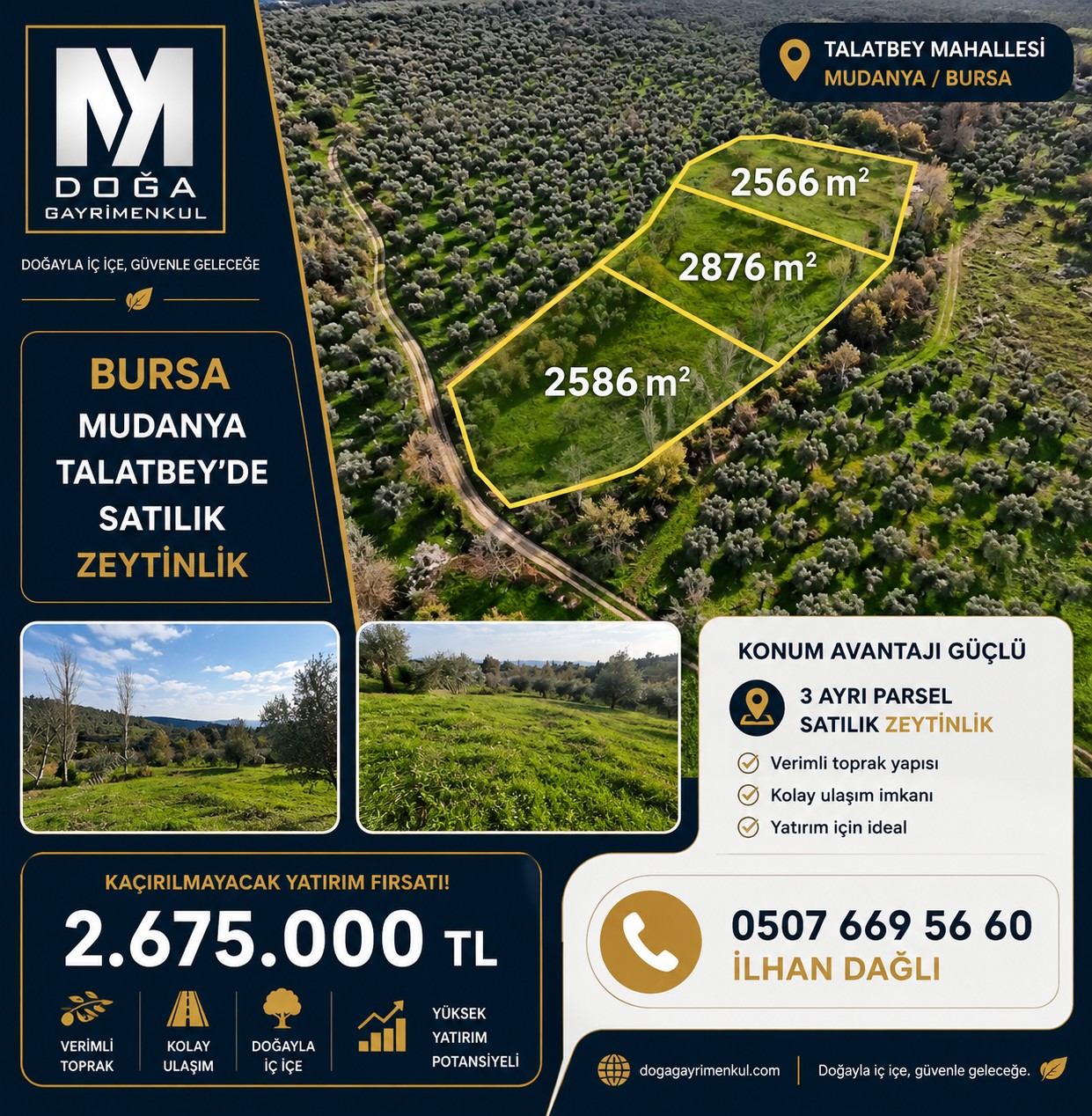 Mudanya Talatbeyde Satılık Zeytinlik